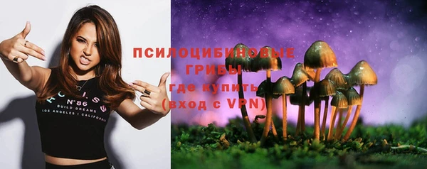 кокс Армянск