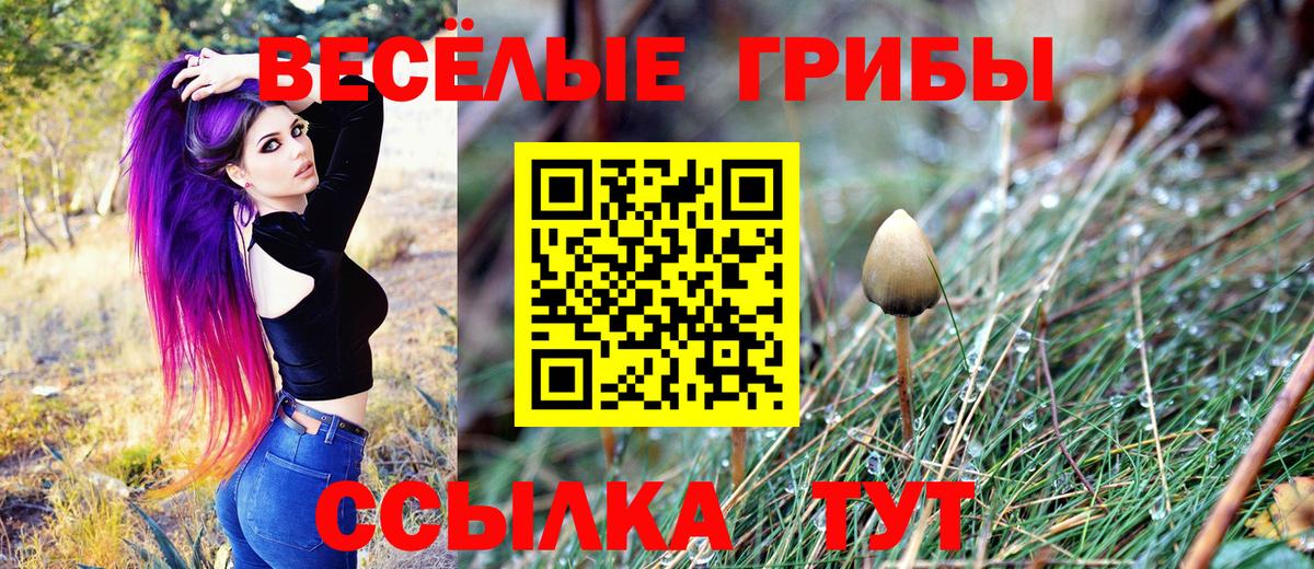 Псилоцибиновые грибы мухоморы Борзя